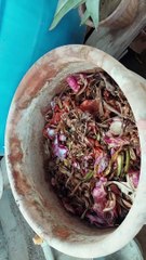 ghr may behtreen compost bnayn kitchen waste say l किचन वेस्ट से घर पर कैसे बनाएं रिच कम्पोस्ट