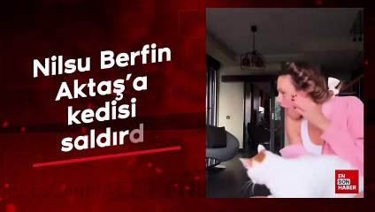 Nilsu Berfin Aktaş'a kedisi saldırdı