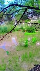 villege nature beuty