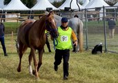 Monpazier accueille les championnats du monde d'endurance