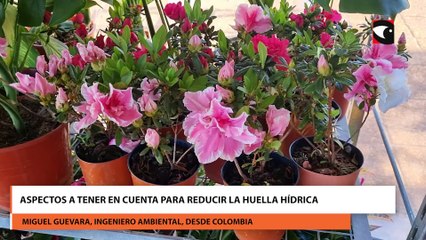 Aspectos a tener en cuenta para reducir la huella hídrica
