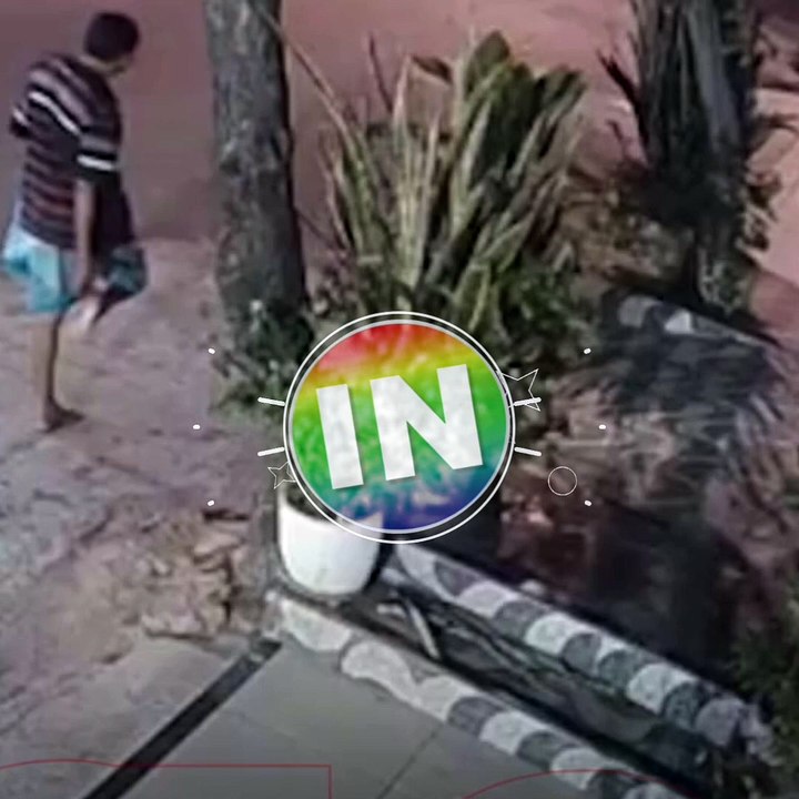 Homem é flagrado furtando vaso com planta em Sobral