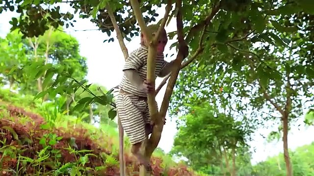 Monkey Baby Bon Bon eat jelly fruit ice cream and naughty with ducklings in the swimming pool