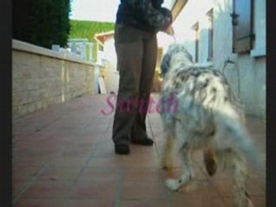 Roxanne OBR 13 (2)