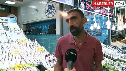 Balık sezonu başladı, palamudun çokluğu dikkat çekti