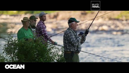 Svéd Vízerőművek Fenyegetik a Lazacokat és a Horgászturizmust 🌊