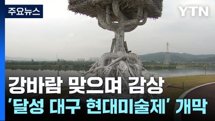 강바람과 함께 즐기는 예술...'달성 대구 현대 미술제' 개막 / YTN