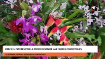 Crece el interés por la producción de las flores comestibles