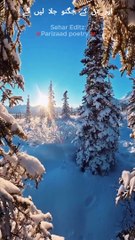 Suna Hai Yha Barf Parti Hai❤️Parizaad poetry ❤️ #parizaad #snowfall