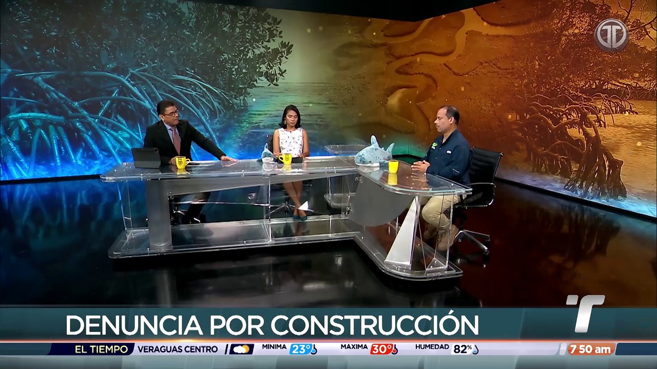 Presentan demanda de nulidad contra proyecto de construcción del Puerto Barú