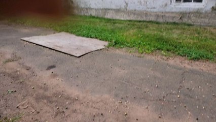 Round 2 9/6/2024 Visiting Fat Cat