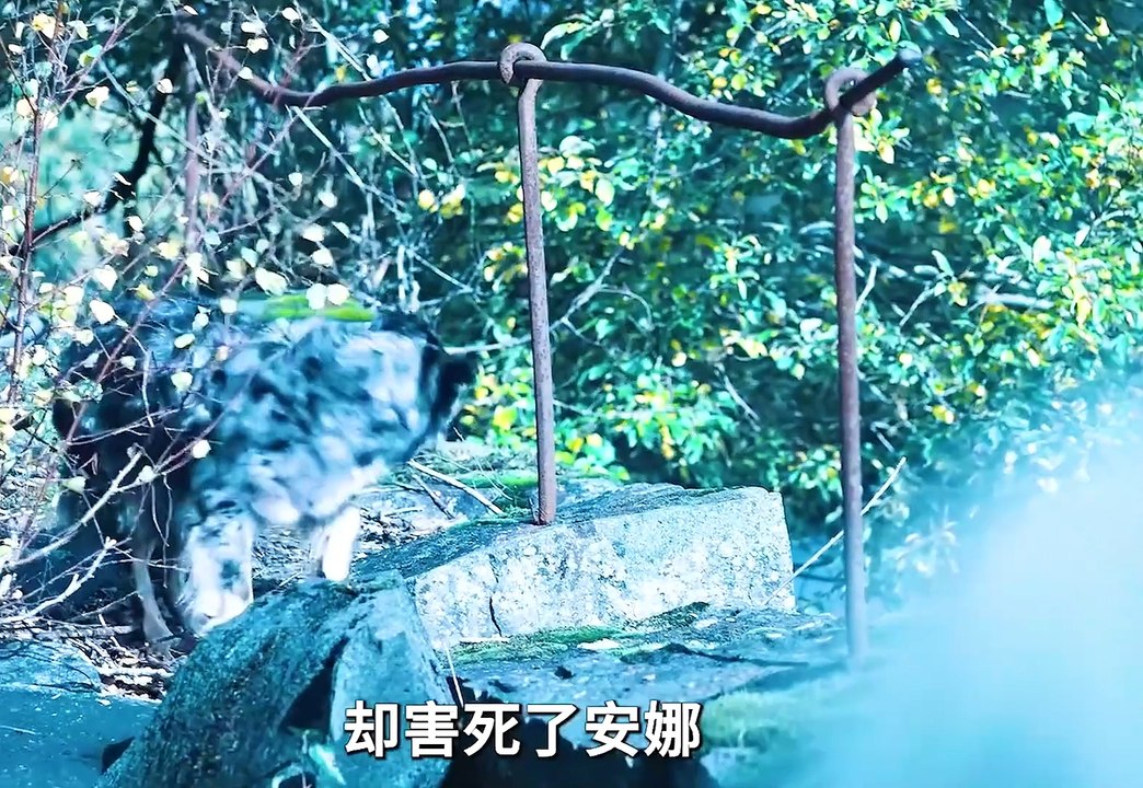 一口气好看一部超好看的科幻惊悚美剧