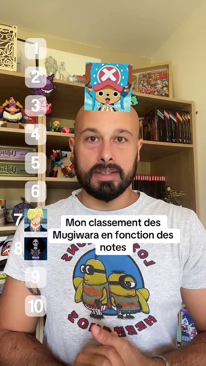 Bon je vous ai fait le classement des Mugiwara en fonction des notes