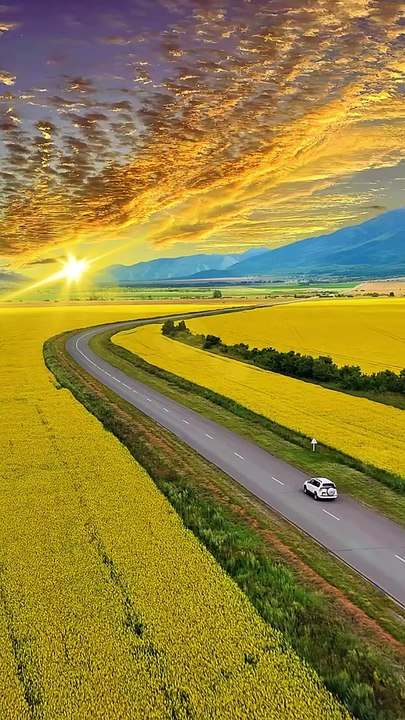 Nature _8
