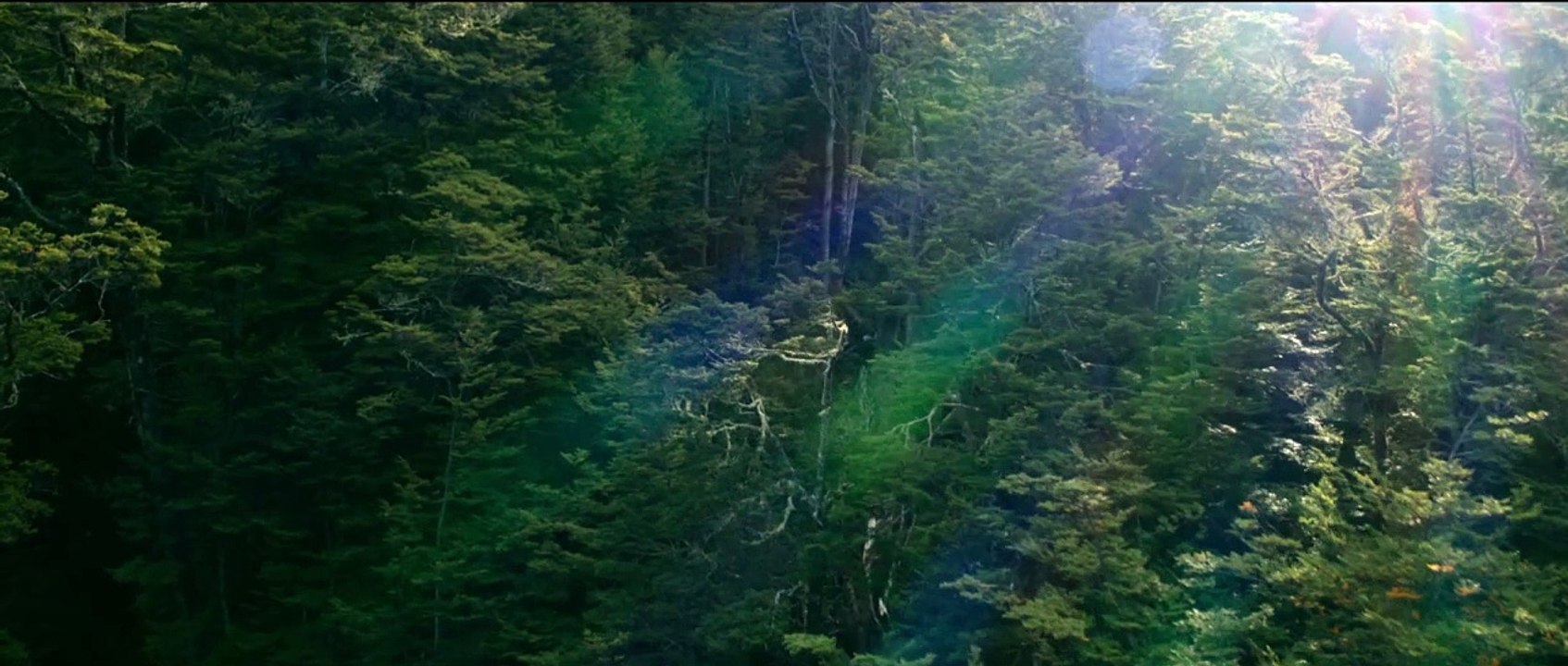 Wolf Man Trailer (2) OV