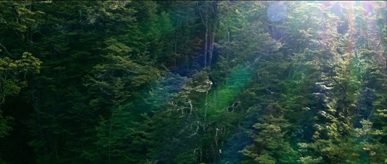 Wolf Man Bande-annonce VO STFR