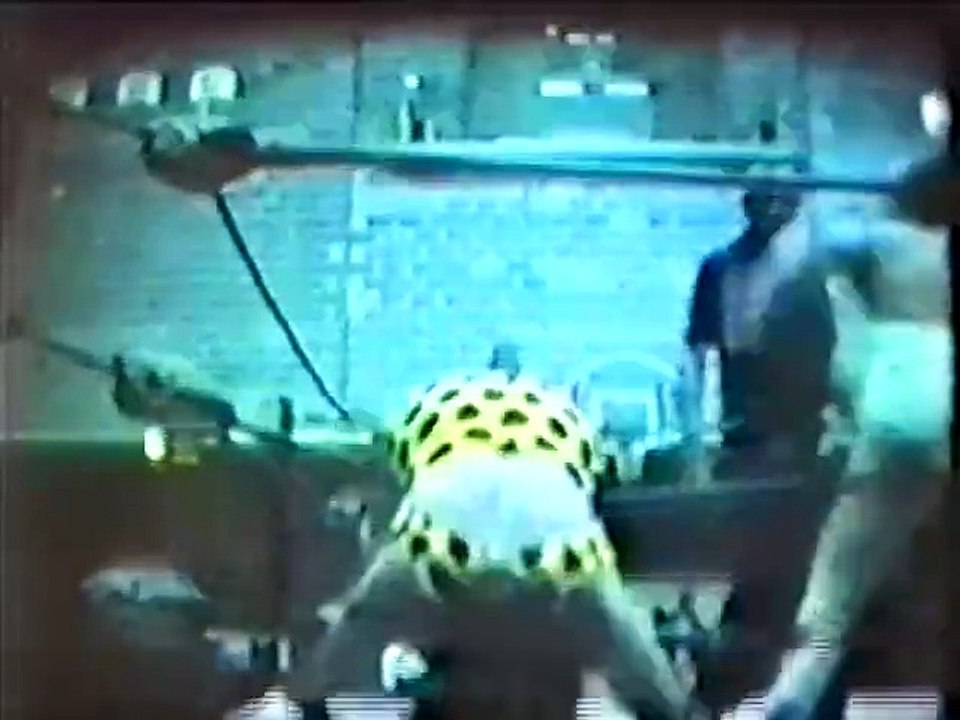 Antone vs Niccoli_c