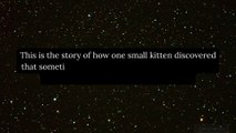 The Kitten Who Reached the Stars: An Inspirational Tale of Dreams and Courage