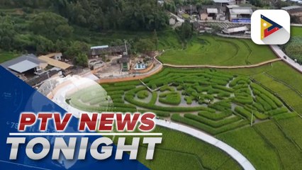 Rice fields with a twist located in Yunnan, China