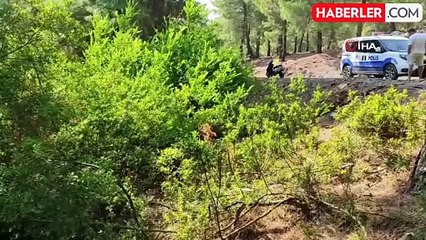 Fethiye'de ormanda terk edilmiş bebek bulundu