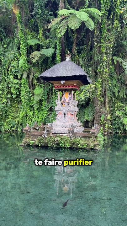Jour de pluie à ubud