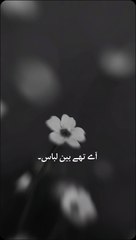 تیری یاد جوانی کھا گئی ہے