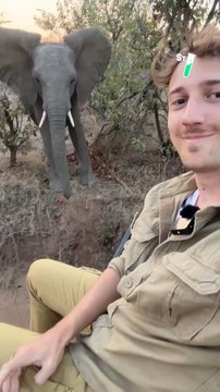 Approcher un éléphant sauvage est toujours risqué. En fonction des régions du monde, leur caractère diverge. Le reporter animalier @mathieucourdesses s’est rendu en Afrique du Sud pour photographier les éléphants du mythique parc Kruger