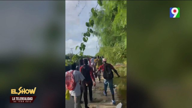 Cientos de haitianos indocumentados huyen en Friusa