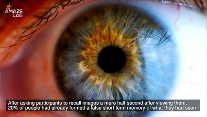 These Memories Can Be Generated in Less Than a Second!
