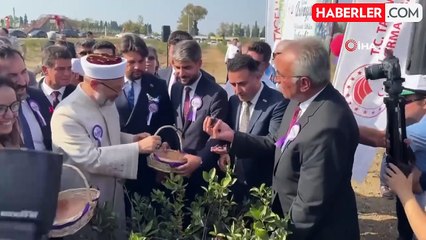 Yalova Aronya Festivali Renkli Görüntülerle Başladı