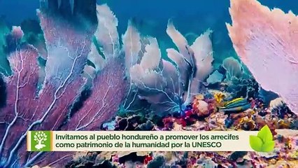 Heroe Tela Marine 1Min (1)