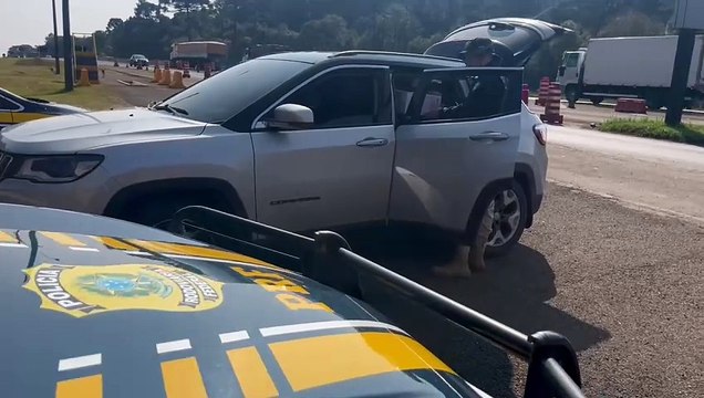 Carregado com 318 garrafas de vinhos argentinos, Compass é apreendido pela PRF na BR-277