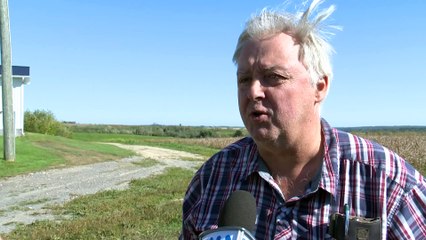 ED 6 sep TOPO patate