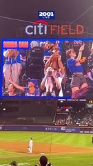 'Simba Cam' captura los mejores momentos de los perritos en los juegos de beisbol