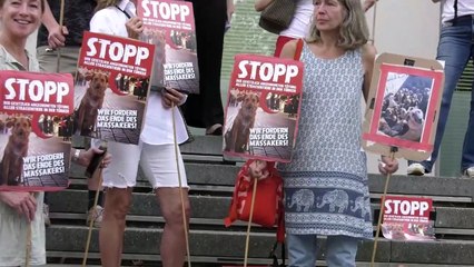 Mahnwache gegen die gesetzliche Tötung von Straßentieren in der Türkei