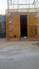 Beautiful parts parinde