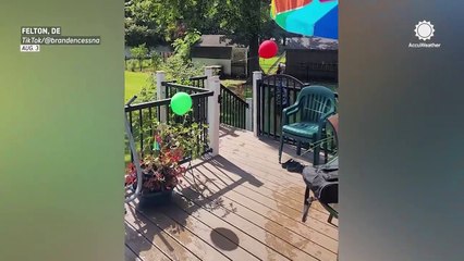 Delivery driver dives into pool on hot Delaware day