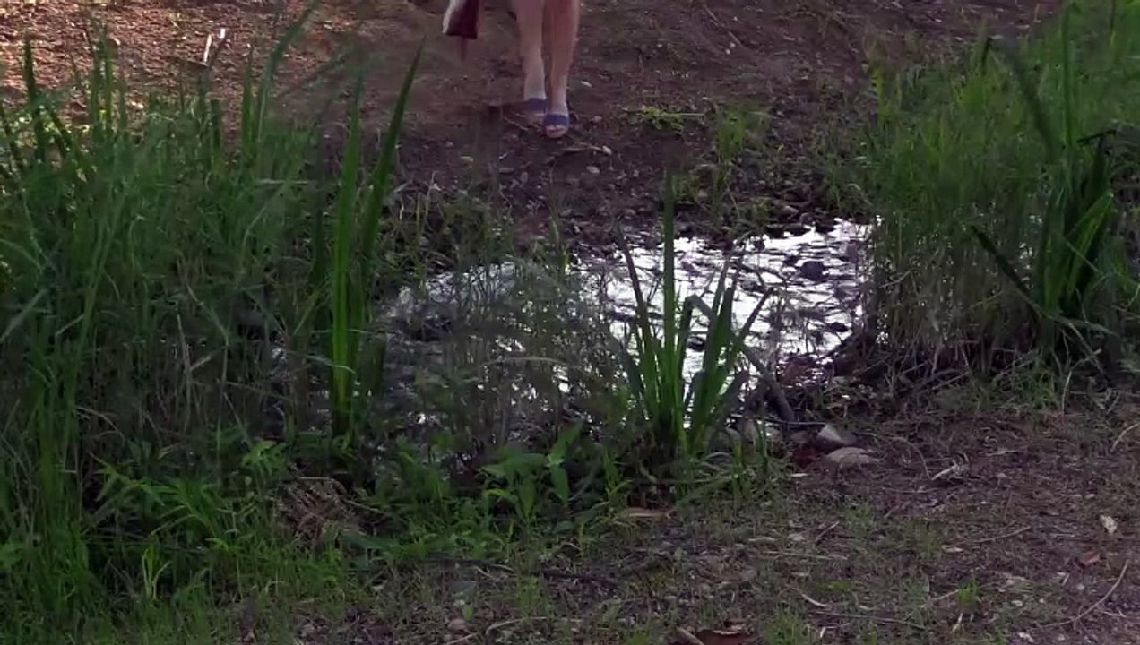 'A Traveler's Needs' - Clip