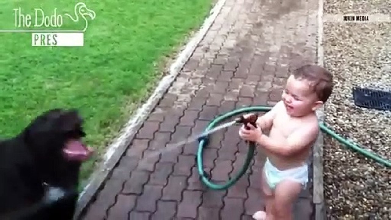 Babies Laughing At Pets