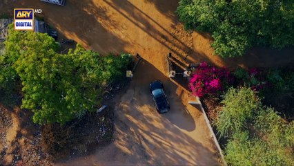 Noor Jahan Episode 30  -  6 September 2024   ARY Digital