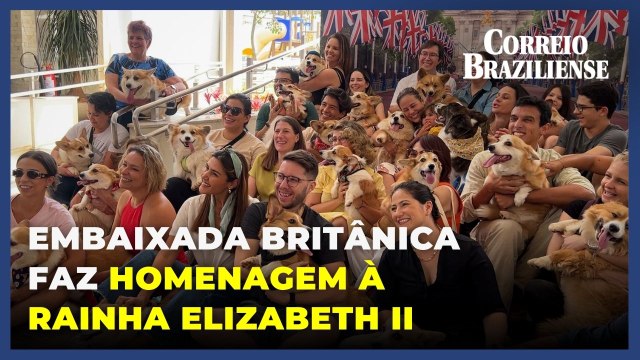 Embaixada Britânica reúne 30 corgis em memória da Rainha Elizabeth II