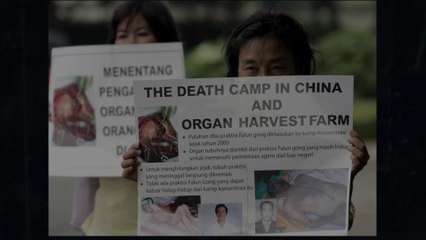 EPISODE 5: The Falun Dafa Case: Terror in China