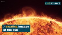 7 Dazzling Images Of The Sun