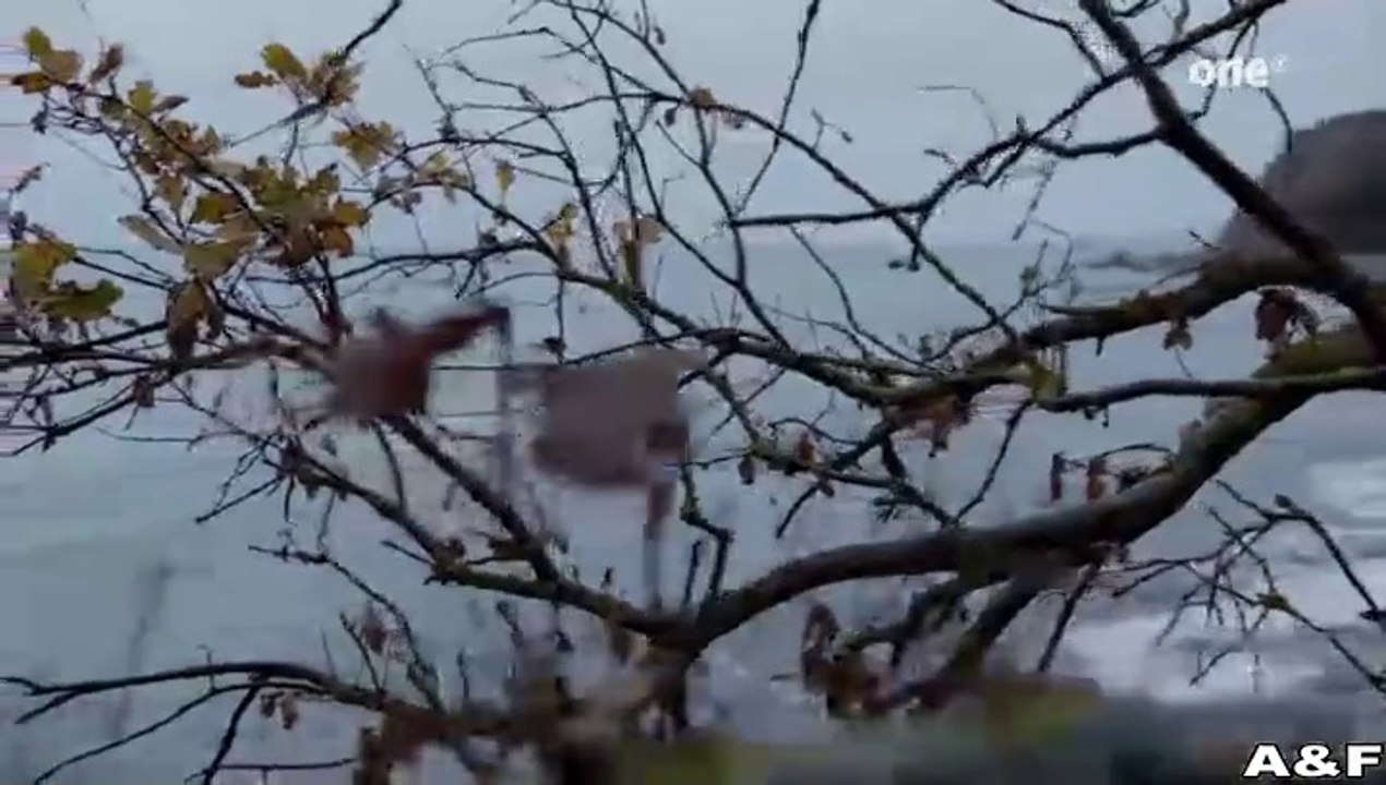 Wo ist die Liebe hin