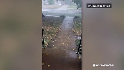 Storms blow from the Midwest into the Northeast