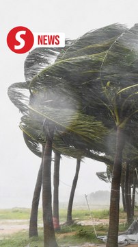 Trees uprooted, streets flooded as Super Typhoon Yagi strikes China's Hainan