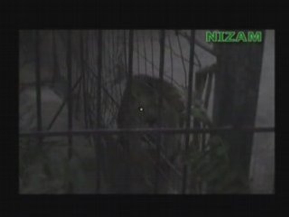 Loewe_bruellt_allah(da3wa.net)