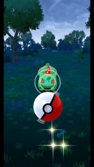 Pokémon GO-Party Hat Bulbasaur