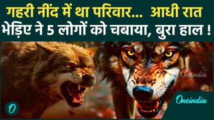 Bahraich Bhediya Attack के बाद MP के खंडवा में भेड़िए ने 5 लोगों को चबाया | UP Wolf | वनइंडिया हिंदी