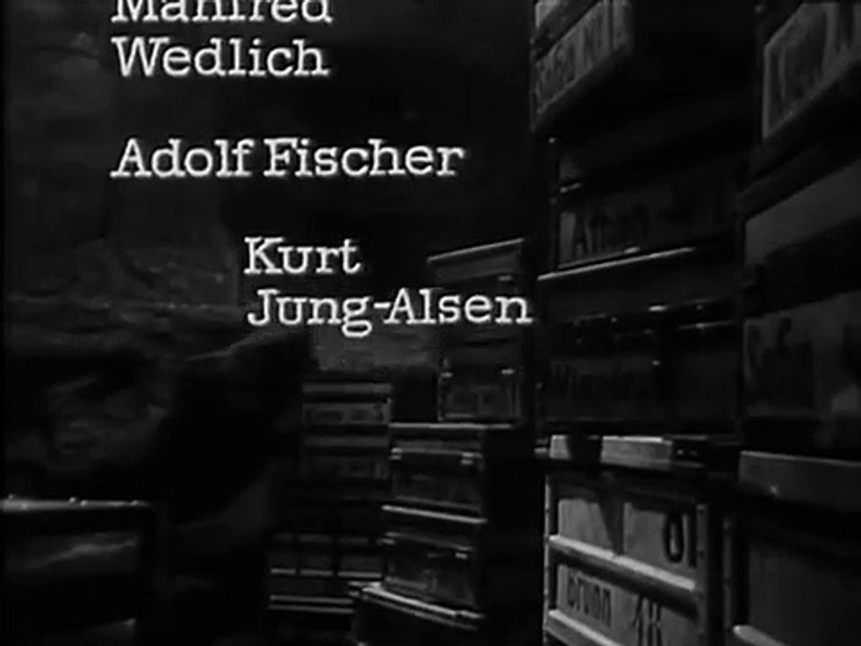 Geheimarchiv an der Elbe - sw